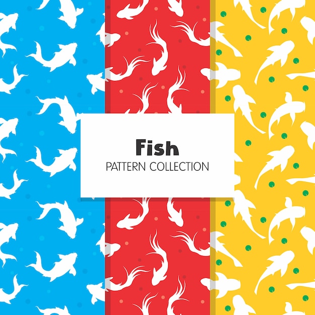 Collezione koi fish pattern