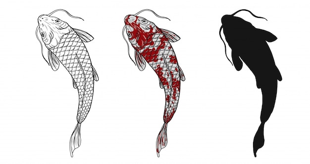 Tatuaggio del pesce di koi a mano disegno