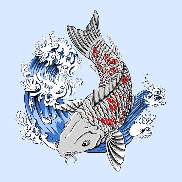 koi fish vector illustration