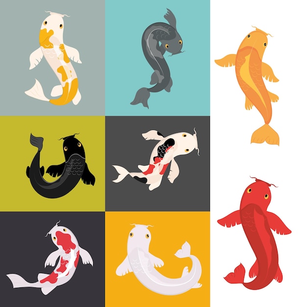 Koi fishes icon set