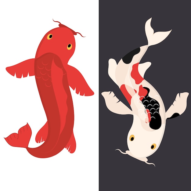 Vector koi fishes japanese