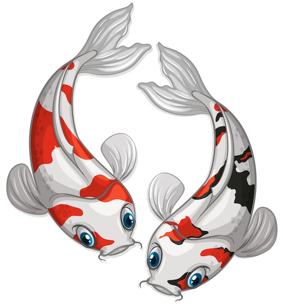 Vector koi