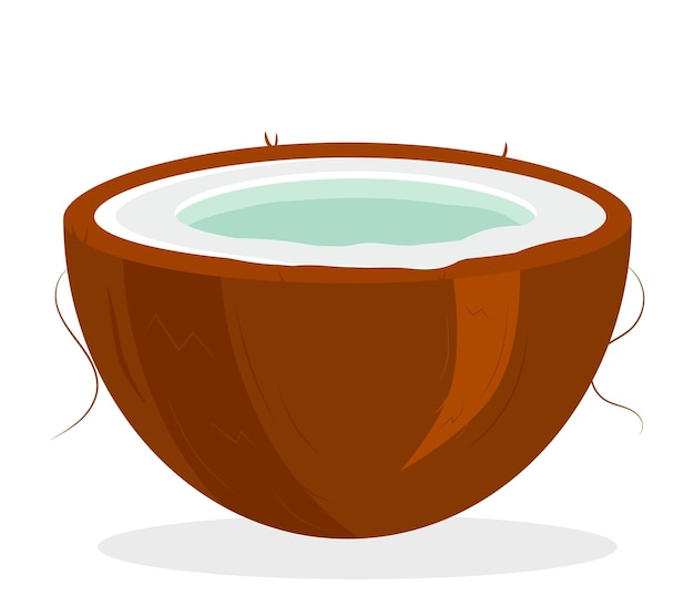 Kokosnoot Drink een halve kokosnoot Platte vectorillustratie geïsoleerd op een witte achtergrond