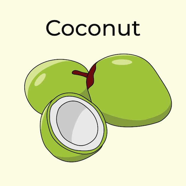 Vector kokosnoot fruit illustratie vector