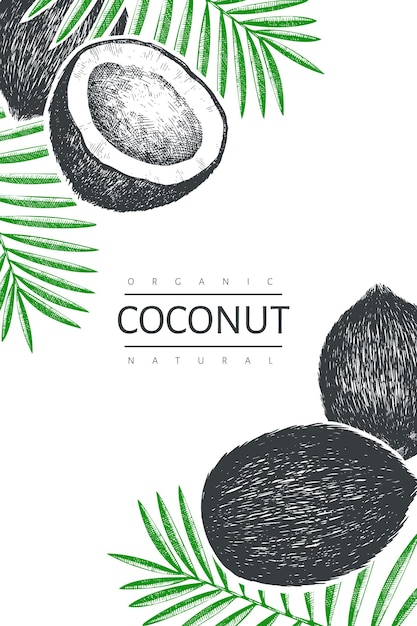 Kokosnoot met palm bladeren ontwerpsjabloon. hand getekend voedsel illustratie. vintage botanische tropische achtergrond.