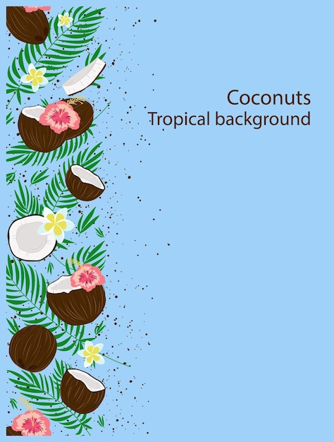 Kokosnoot tropische achtergrond met palmbladeren plumeria en hibiscus