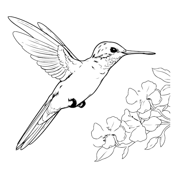 Kolibrie met bloemen Vectorillustratie van een kolibrie