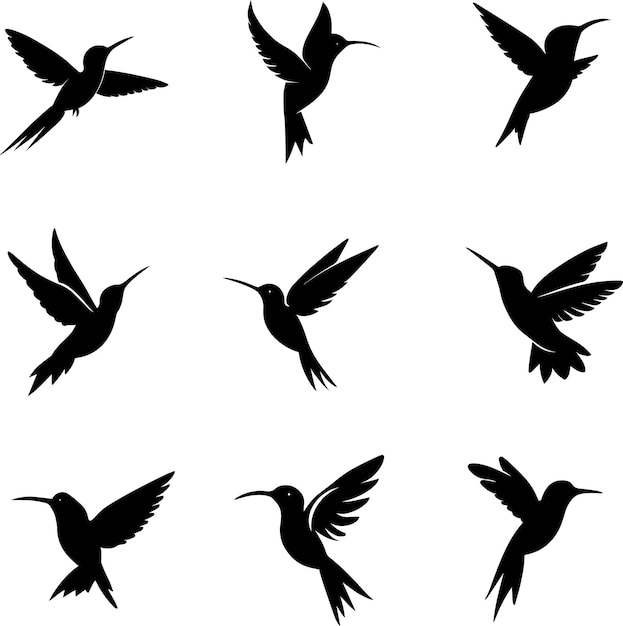 kolibrie vector silhouet illustratie 2