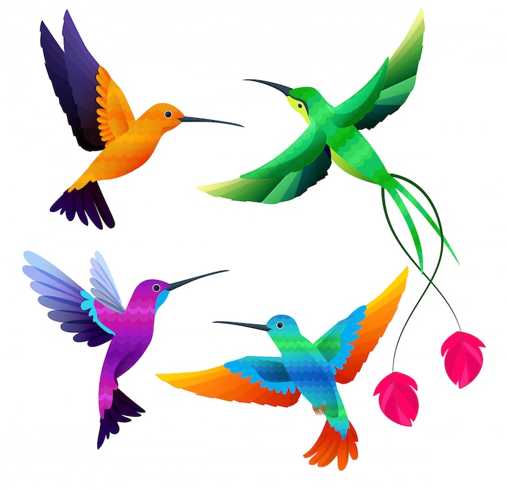 Vector kolibries collectie. exotische tropische vogeltjes vliegende cartoon set