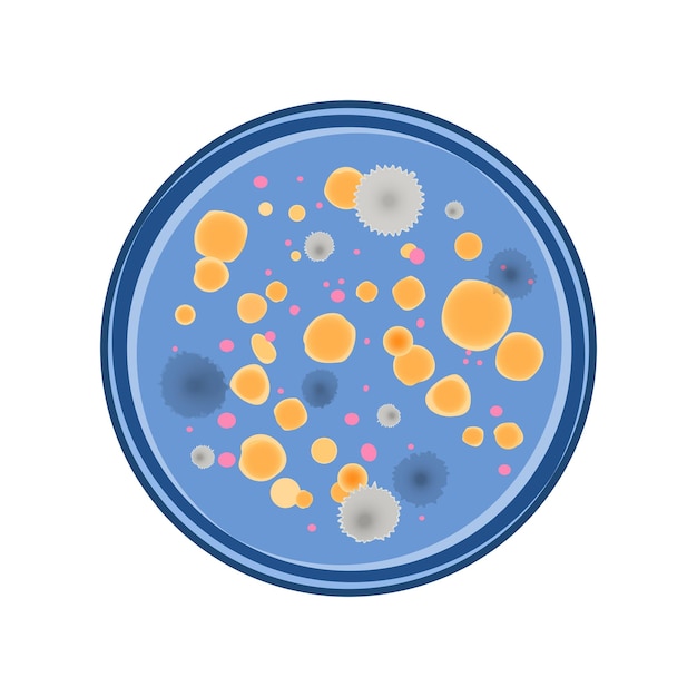 Vector kolonie van bacteriën en schimmelgroei in petry schaal vector vlakke stijl bovenaanzicht