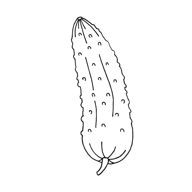 Komkommer in doodle-stijl