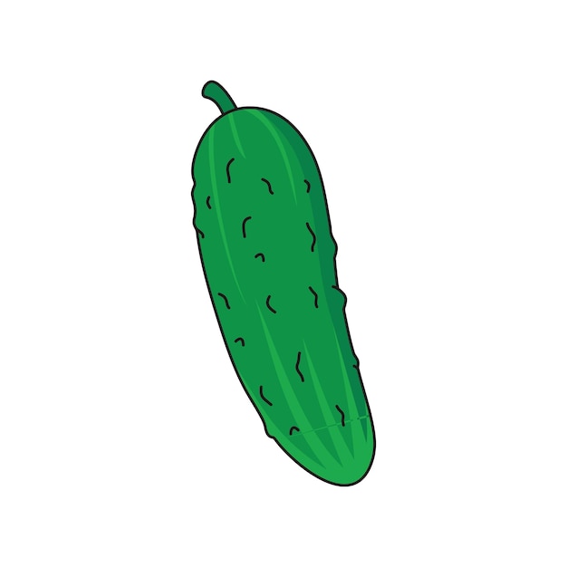 Vector komkommer vectorillustratie. cartoon komkommer groente. komkommer hand loting geïsoleerd.