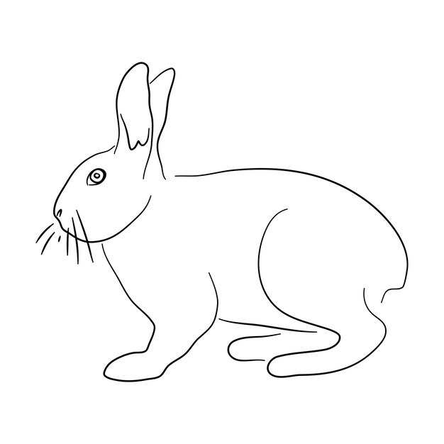 Konijn illustratie in doodle stijl Vector geïsoleerd op een witte achtergrond