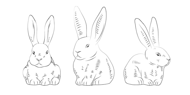 Konijntjes, set lineaire konijnen in verschillende poses, schets hand getrokken Haas, geïsoleerd op een witte achtergrond. vector illustratie