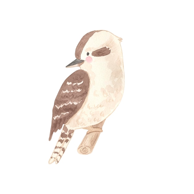 Kookaburra aquarel illustratie voor kinderen