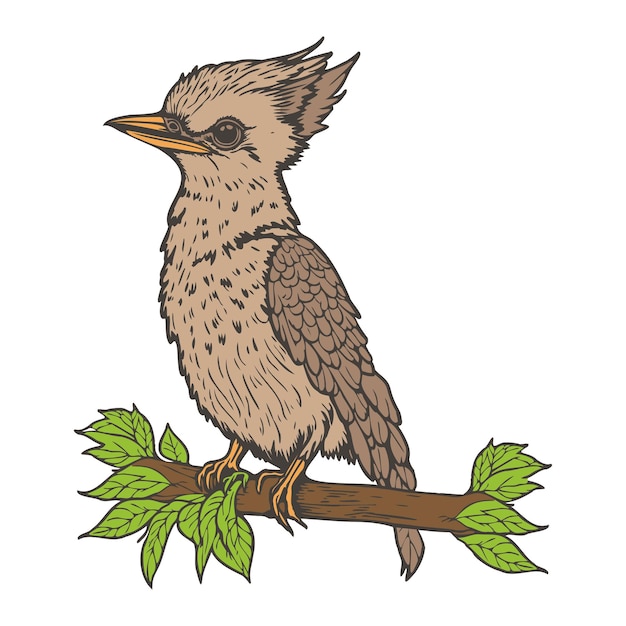 Vector kookaburra bird animal character cartoon vector illustration