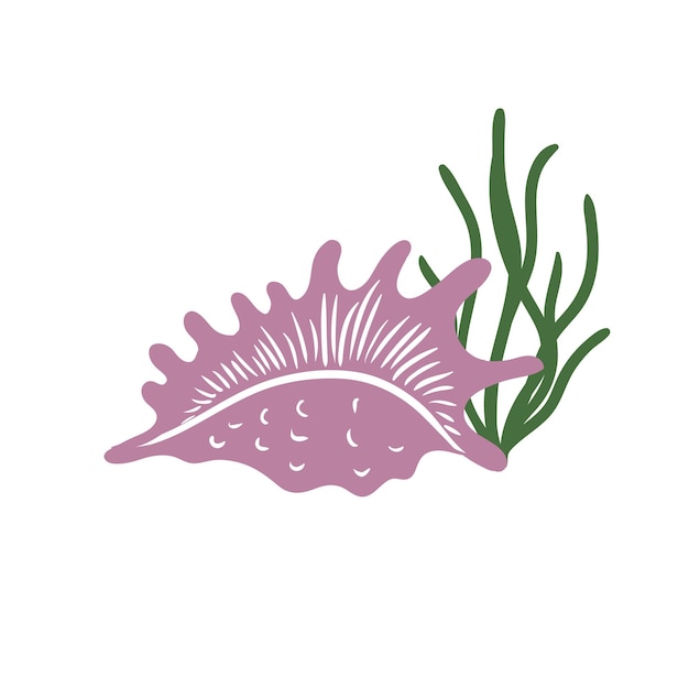 Koraal met Seashells svg vector