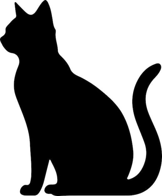 Vector korat cat black silhouette with transparent background