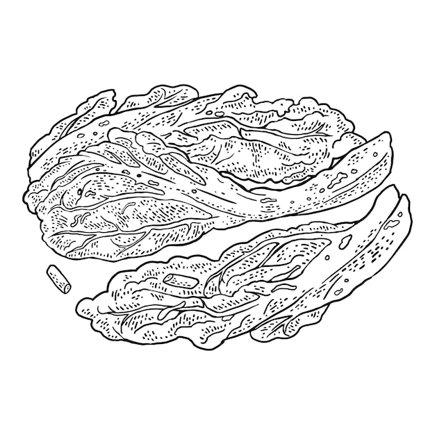 韓国料理キムチヴィンテージ黒ベクトル彫刻イラスト白い背景で隔離ラベルポスターメニューの手描きデザイン要素