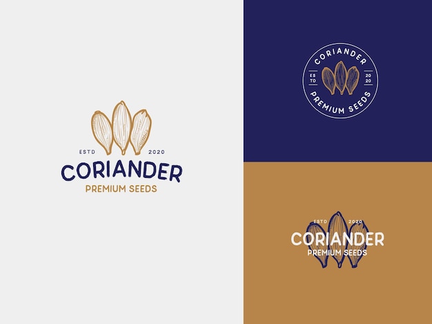 Korianderkruid hand draw logo template met premium vintage typografie