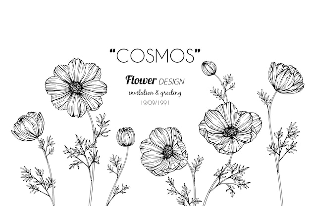 Kosmos bloem tekening illustratie