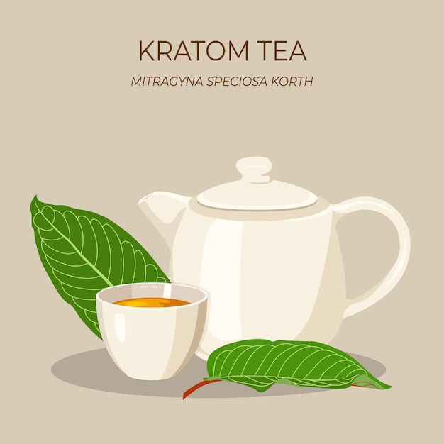 Чай кратом с листьями кратома или Mitragyna speciosa Kratom - тайская трава, которая укрепляет здоровье.