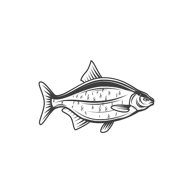 Kroeskarper zoetwatervis om te vissen of te eten