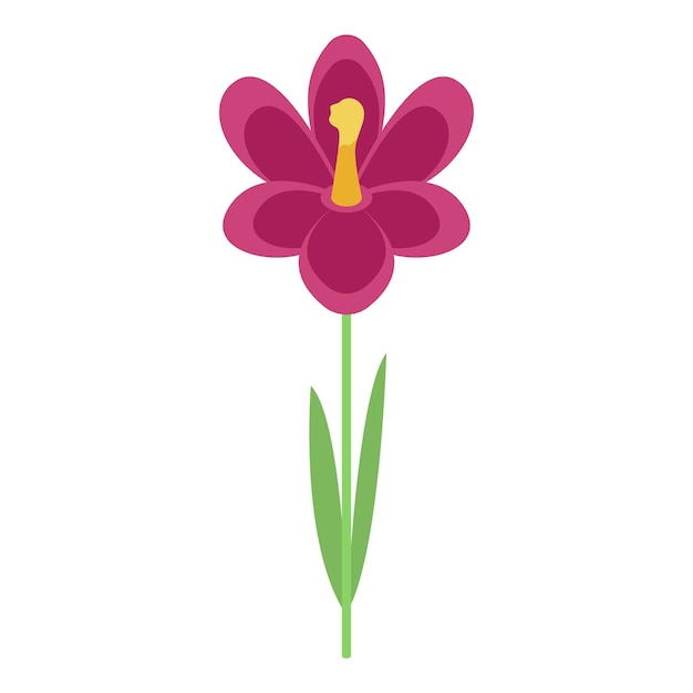 Vector krokus bloem pictogram isometrisch van krokus bloem vector pictogram voor webdesign geïsoleerd op een witte achtergrond