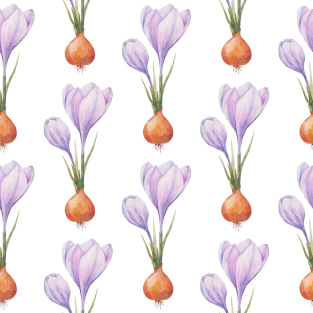 Krokuspatroon Saffraanveld Naadloos patroon met paarse krokussen Naadloos vectorpatroon