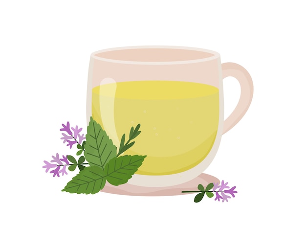 Vector kruidenthee. kopje thee met tijm en munt. transparante beker met thee en bloemendecoratie warme drank