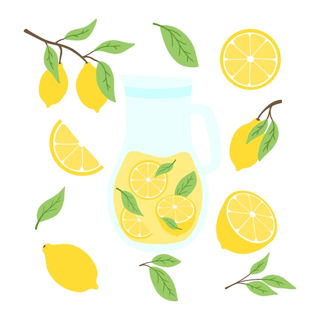 Kruik met limonade Limonade met schijfjes citroen en munt Zelfgemaakte drank Vectorillustratie in cartoon-stijl