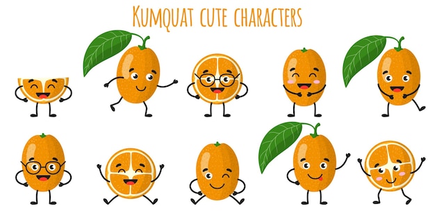 Kumquat citrusvruchten schattige grappige vrolijke karakters met verschillende poses en emoties. Natuurlijke vitamine antioxidant detox voedsel collectie. cartoon geïsoleerde illustratie.