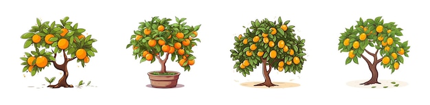 Vettore set di alberi di kumquat illustrazione vettoriale di cartoni animati