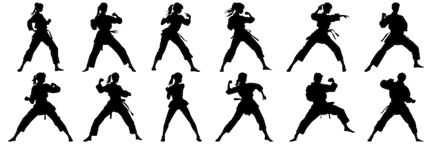 Kung Fu karate taekwondo silhouetten instellen groot pak vector silhouet ontwerp witte achtergrond