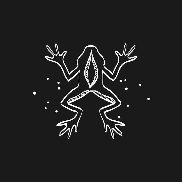 Vector lab frog doodle sketch illustration