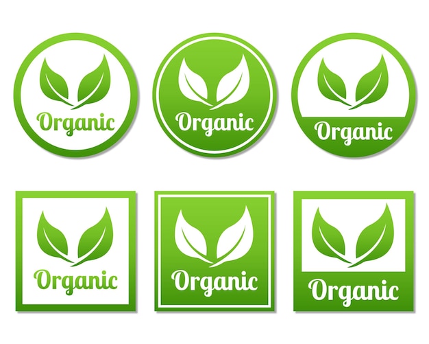 Etichetta badge set foglie organiche bio ecologia logo tag modello design testo può essere modificato prodotto naturale