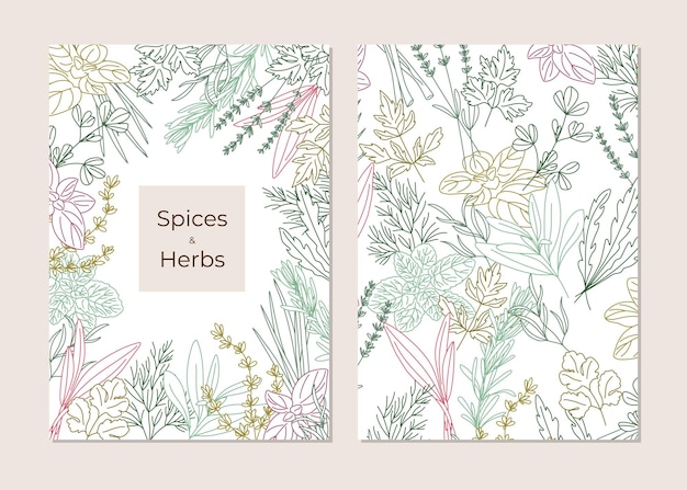 Label cover and seamless pattern of spicy herbs line Oregano, Fenugreek, Rosemary, Mint, Arugula