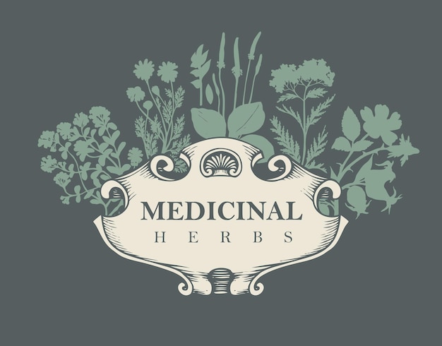 Vector label for herbal medicine pharmacy