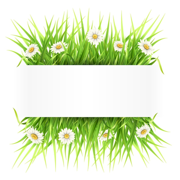 Label with green grass and daisies