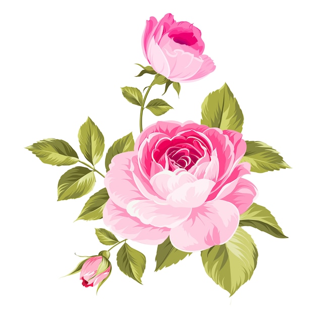 Vector label with rose flowers.