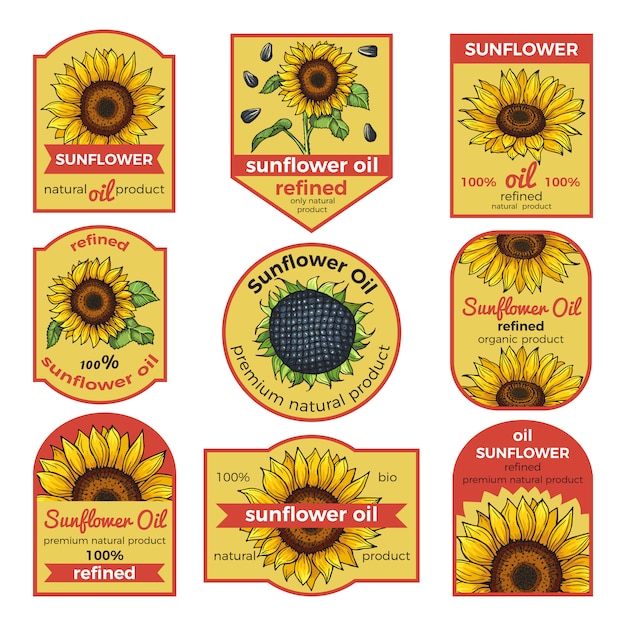 Labels for sunflower oil. Vector illustration with place for your text