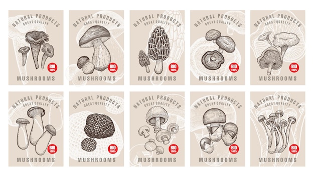 Vector labels with mushrooms set templates price tags