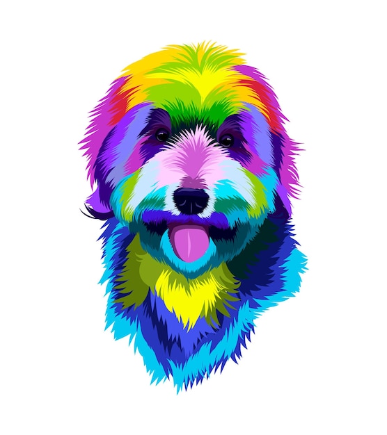 Vector labradoodle dog head portrait from multicolored paints splash of watercolor colorful drawing