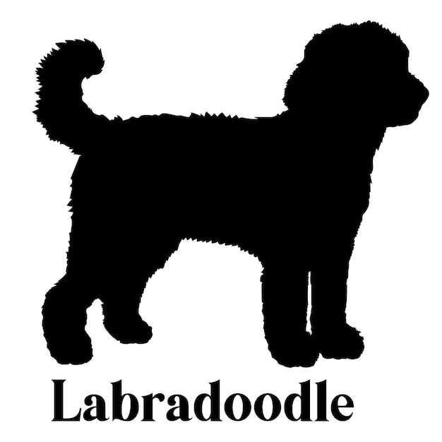 Labradoodle Dog silhouette