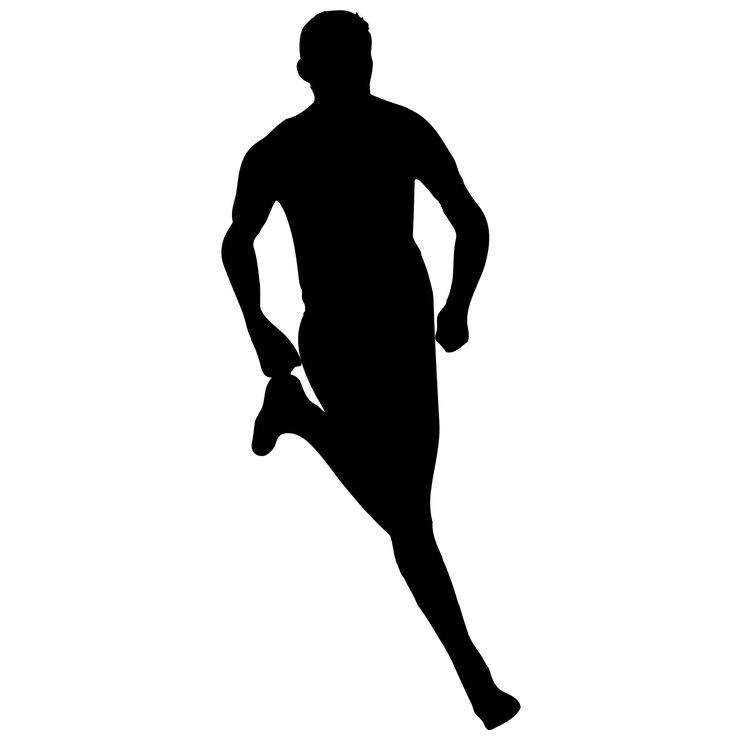 Vector labrador dog silhouette on a white background