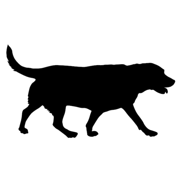 Labrador dog silhouette on a white background