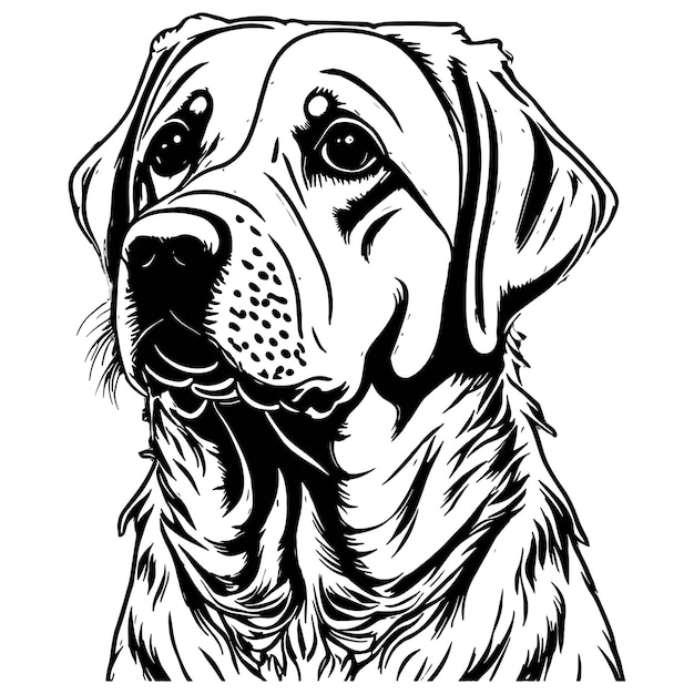 Vector labrador dog vector line art