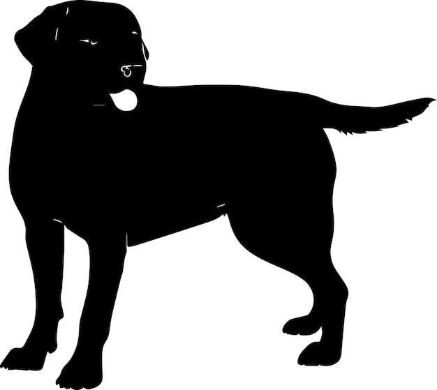 Labrador Dog Vector silhouet Illustratie zwarte kleur