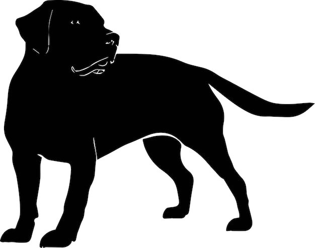 Labrador Dog Vector silhouette Illustration black color