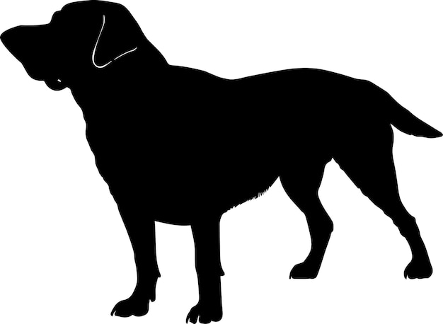 Labrador Dog Vector silhouette Illustration black color